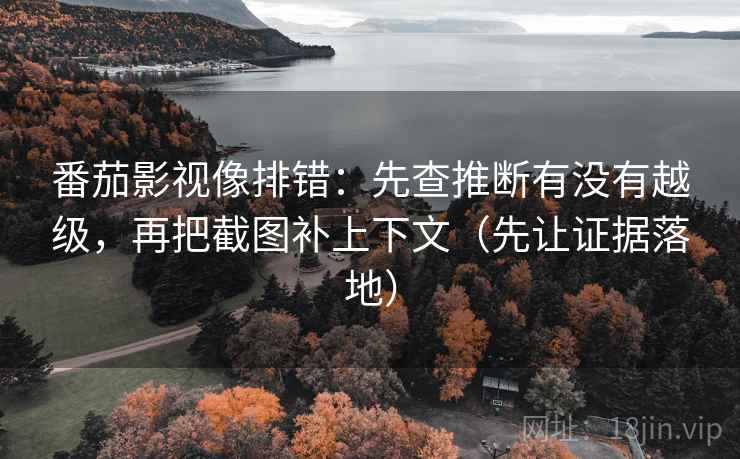 番茄影视像排错：先查推断有没有越级，再把截图补上下文（先让证据落地）  第1张