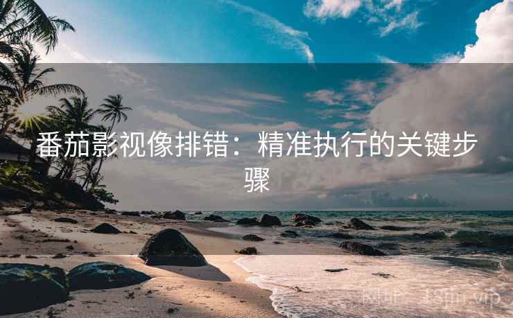 番茄影视像排错:精准执行的关键步骤