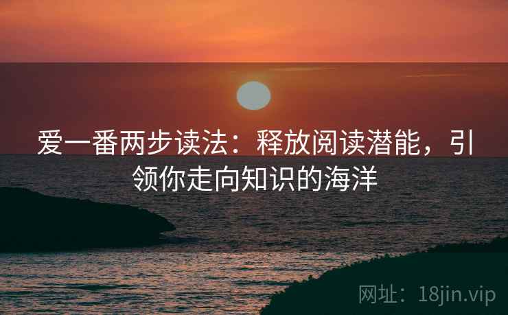爱一番两步读法：释放阅读潜能，引领你走向知识的海洋